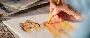 Ilustración y Dibujo