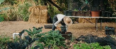 Introducción a la huerta educativa
